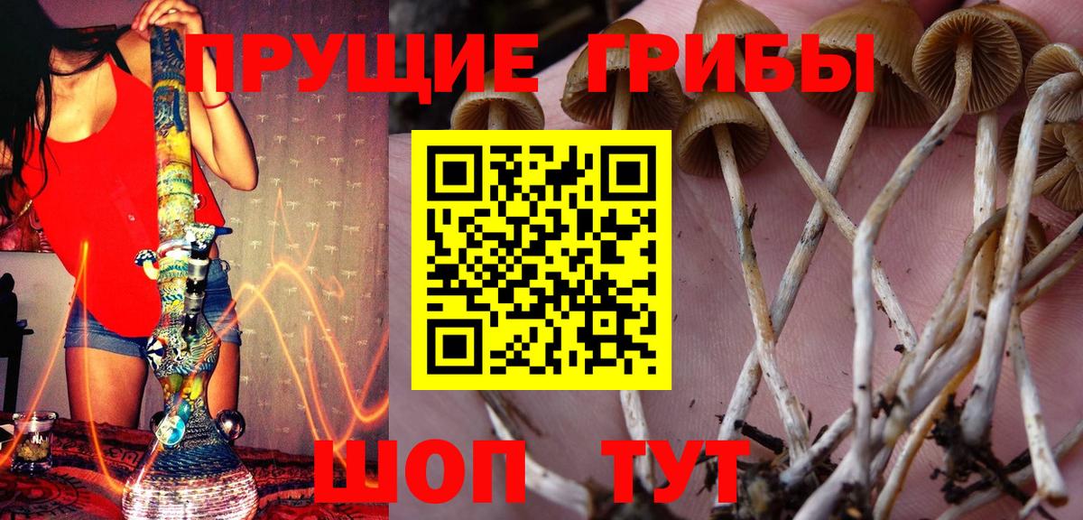 Екатеринбург  Псилоцибиновые грибы MAGIC MUSHROOMS  хочу   Вход с VPN 