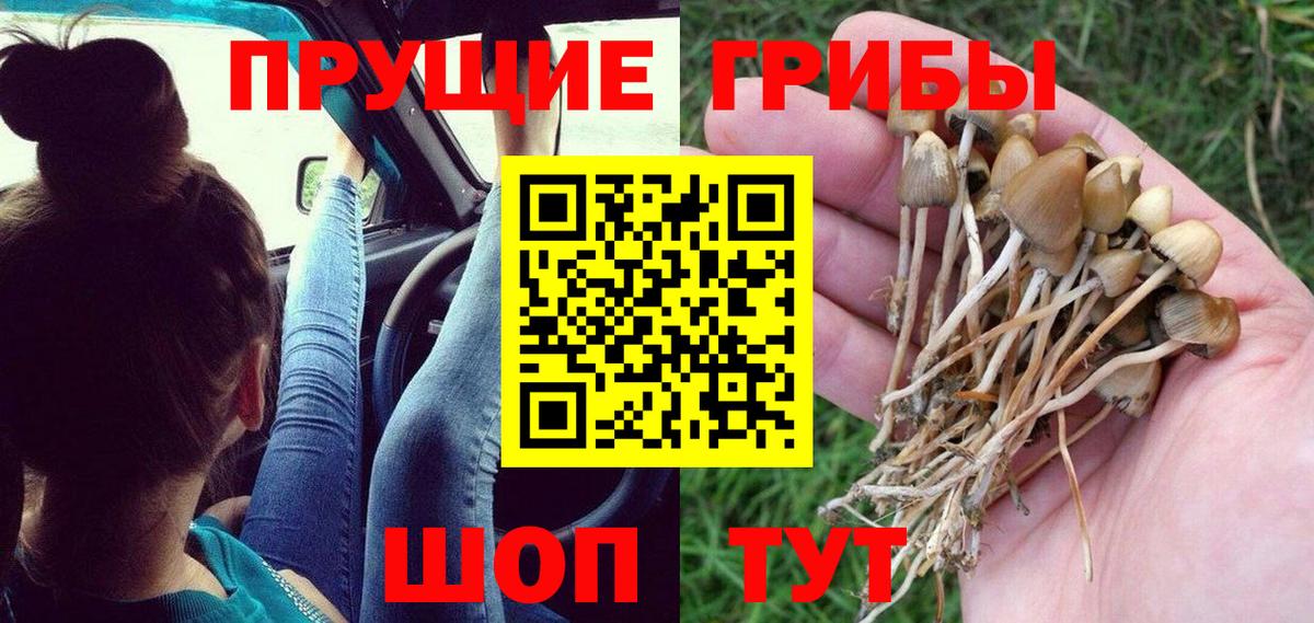 Псилоцибиновые грибы Magic Shrooms Екатеринбург
